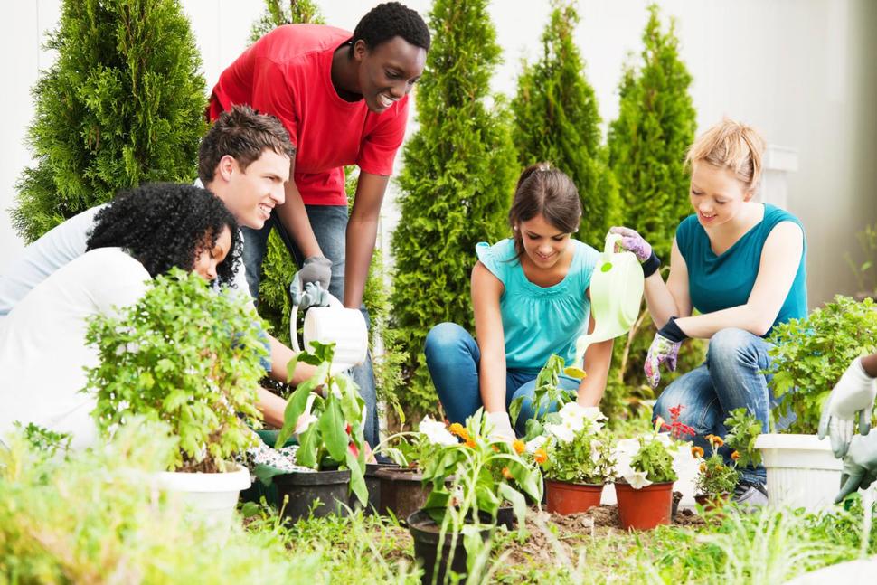 5 Reasons Gardening is Good For Your Health